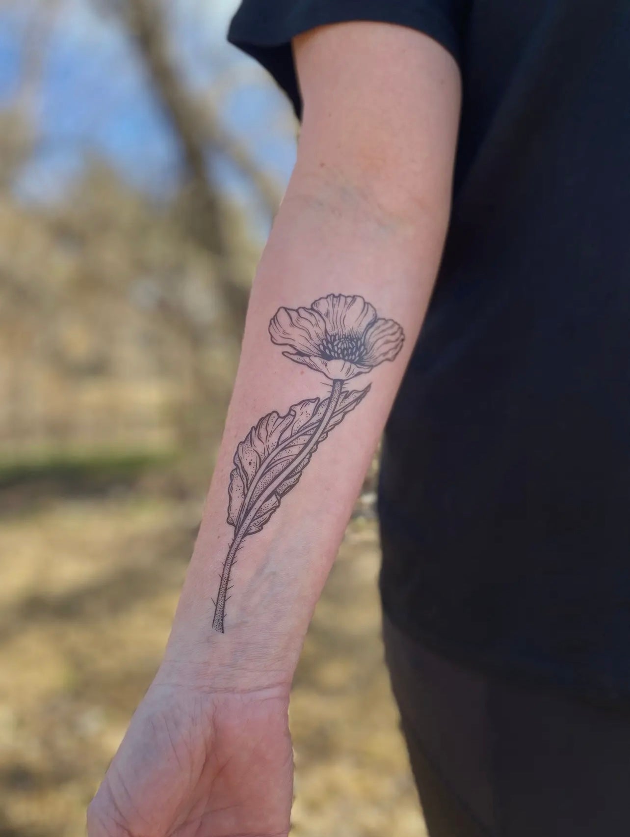 Wild Poppy Flower Temporary Tattoo