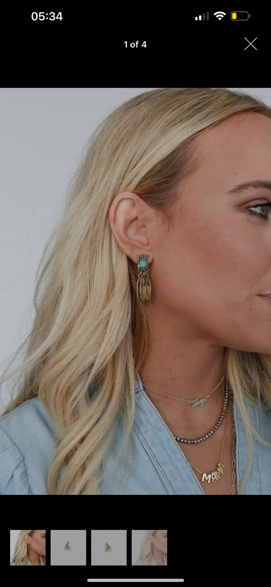 Ancient Aztec Earrings