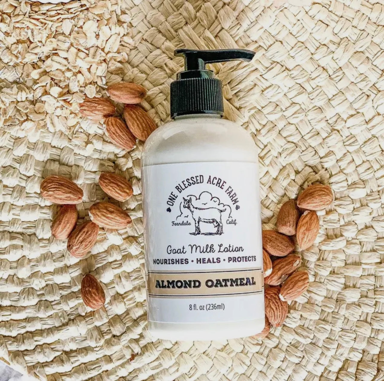 Almond Oatmeal Goat Milk Lotion